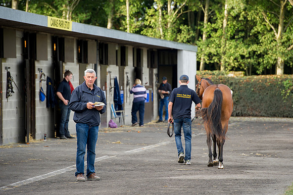 Goffs Orby14 CF1 030