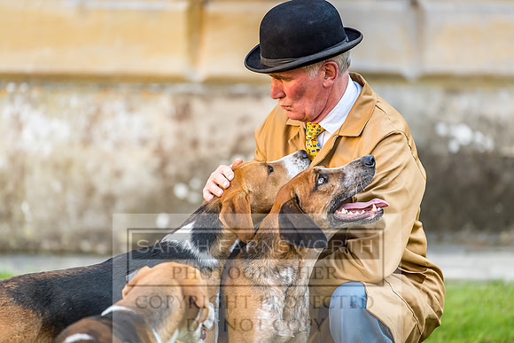 Baron Von Pfetten Puppy Show 02.09.18-166