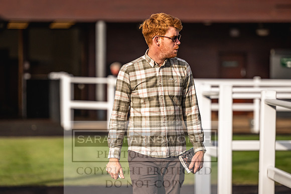 Goffs UK PY24-265