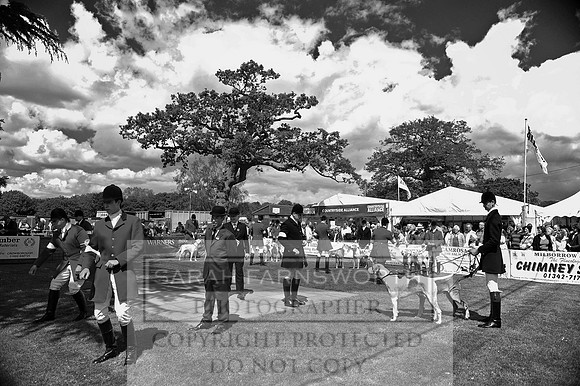 SoEHS14 CF1 131 bw