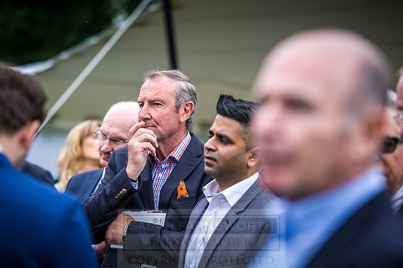 Goffs London Sale 2016-483