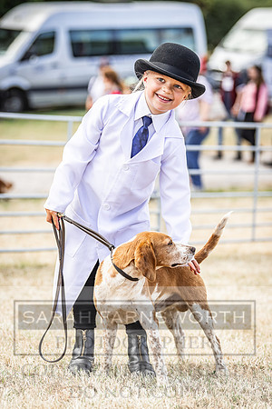 Honiton Hound Show 2022-64