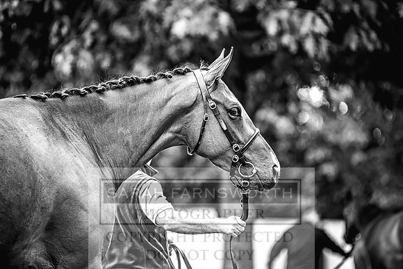 Goffs Land Rover Sale 2022-331