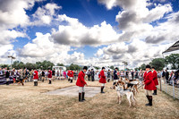 Honiton Hound Show 2022-16